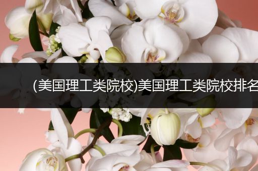 （美国理工类院校)美国理工类院校排名