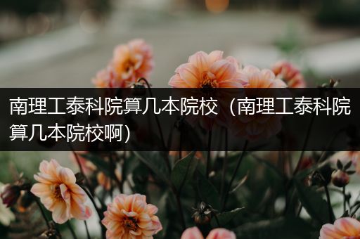 南理工泰科院算几本院校（南理工泰科院算几本院校啊）