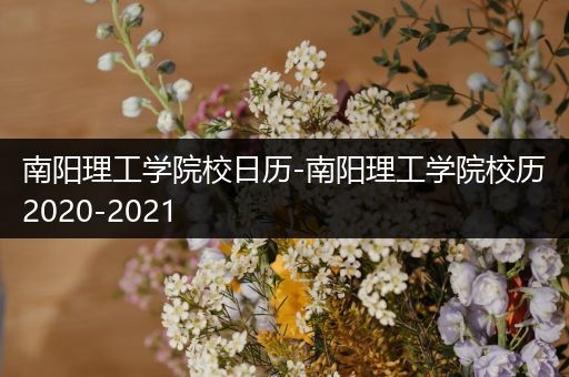 南阳理工学院校日历-南阳理工学院校历2020-2021