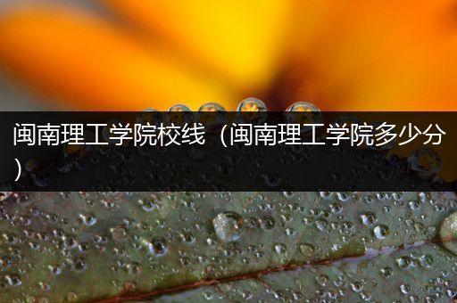 闽南理工学院校线（闽南理工学院多少分）