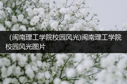 （闽南理工学院校园风光)闽南理工学院校园风光图片