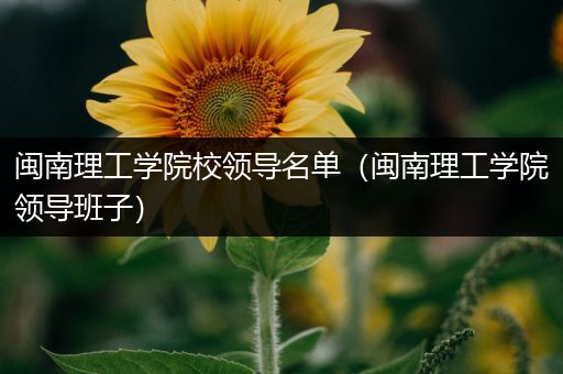 闽南理工学院校领导名单（闽南理工学院领导班子）