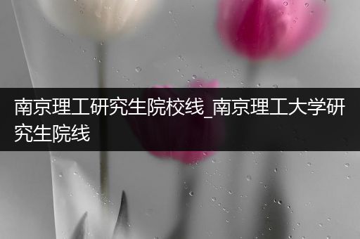 南京理工研究生院校线_南京理工大学研究生院线