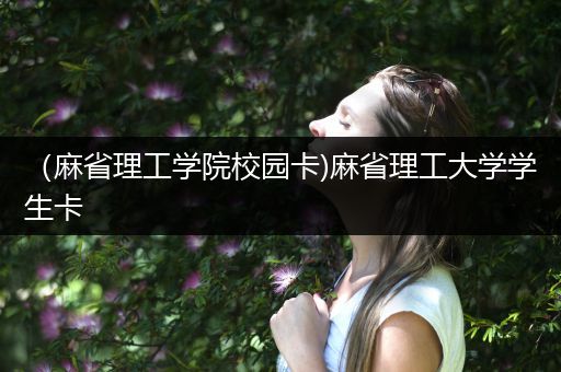 （麻省理工学院校园卡)麻省理工大学学生卡