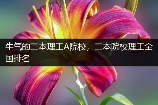 牛气的二本理工A院校，二本院校理工全国排名