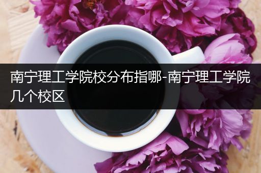 南宁理工学院校分布指哪-南宁理工学院几个校区