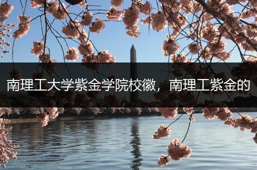 南理工大学紫金学院校徽，南理工紫金的