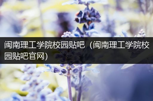 闽南理工学院校园贴吧（闽南理工学院校园贴吧官网）