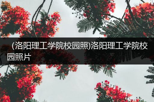 （洛阳理工学院校园照)洛阳理工学院校园照片