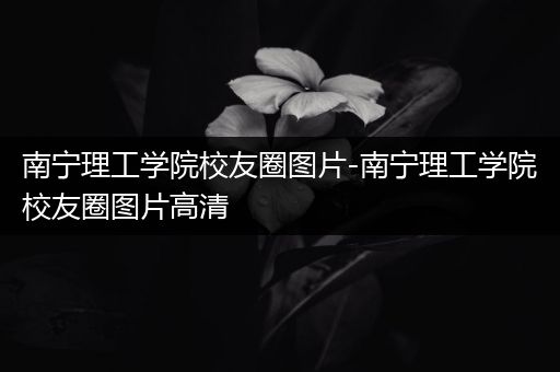 南宁理工学院校友圈图片-南宁理工学院校友圈图片高清