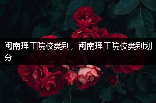 闽南理工院校类别，闽南理工院校类别划分