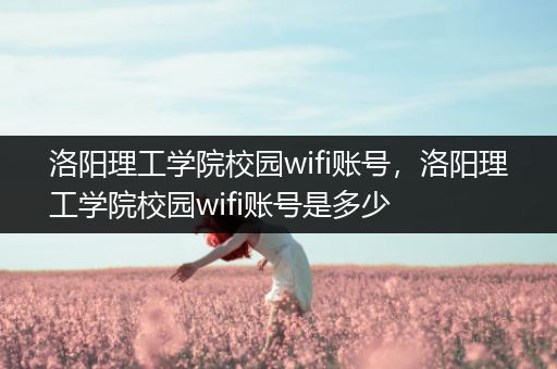 洛阳理工学院校园wifi账号，洛阳理工学院校园wifi账号是多少