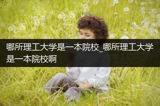 哪所理工大学是一本院校_哪所理工大学是一本院校啊