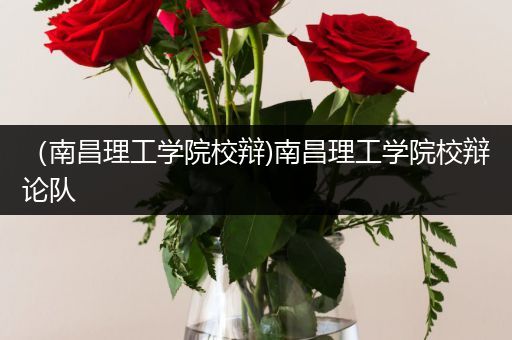 （南昌理工学院校辩)南昌理工学院校辩论队