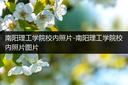 南阳理工学院校内照片-南阳理工学院校内照片图片