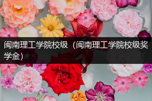 闽南理工学院校级（闽南理工学院校级奖学金）