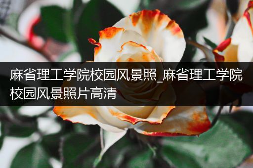 麻省理工学院校园风景照_麻省理工学院校园风景照片高清