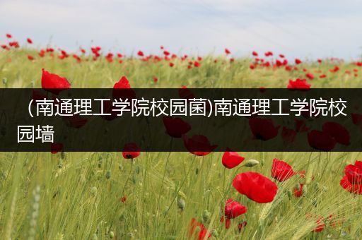 （南通理工学院校园菌)南通理工学院校园墙