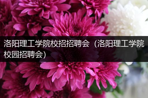 洛阳理工学院校招招聘会（洛阳理工学院校园招聘会）