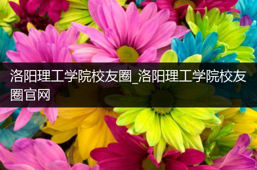 洛阳理工学院校友圈_洛阳理工学院校友圈官网