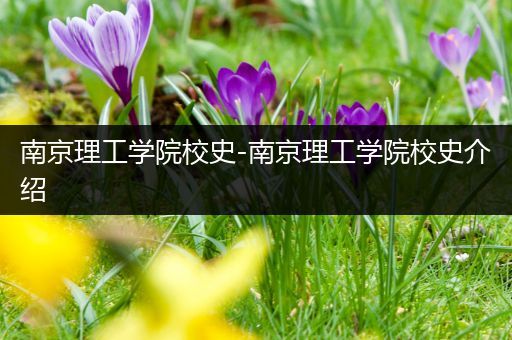 南京理工学院校史-南京理工学院校史介绍
