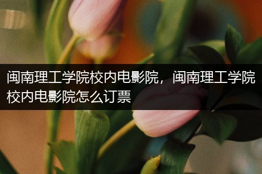 闽南理工学院校内电影院，闽南理工学院校内电影院怎么订票