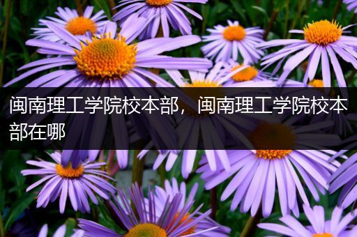 闽南理工学院校本部，闽南理工学院校本部在哪