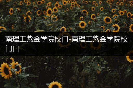 南理工紫金学院校门-南理工紫金学院校门口
