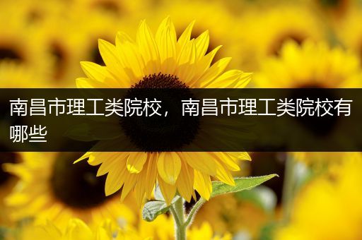 南昌市理工类院校，南昌市理工类院校有哪些