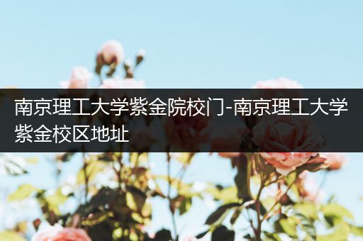 南京理工大学紫金院校门-南京理工大学紫金校区地址
