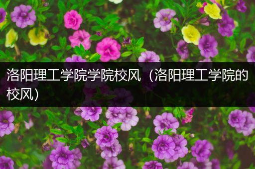洛阳理工学院学院校风（洛阳理工学院的校风）