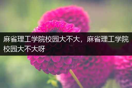 麻省理工学院校园大不大，麻省理工学院校园大不大呀
