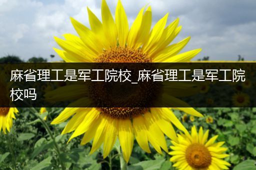 麻省理工是军工院校_麻省理工是军工院校吗