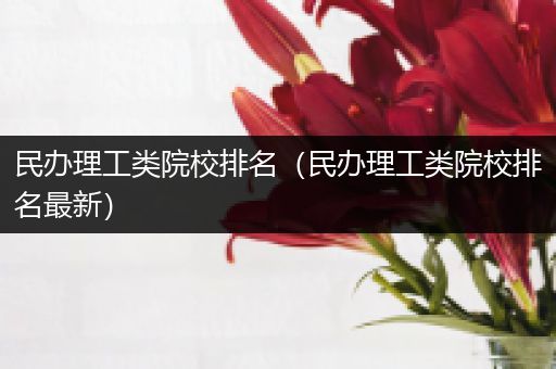 民办理工类院校排名（民办理工类院校排名最新）