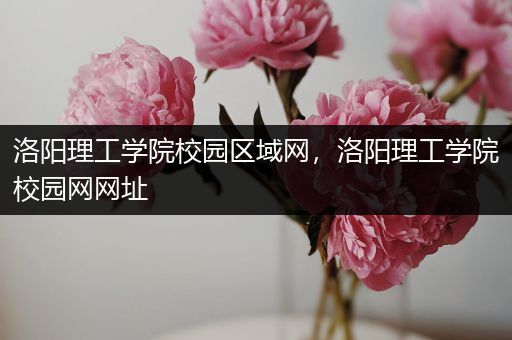 洛阳理工学院校园区域网，洛阳理工学院校园网网址