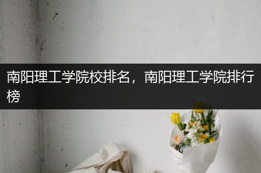 南阳理工学院校排名，南阳理工学院排行榜