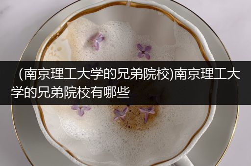 （南京理工大学的兄弟院校)南京理工大学的兄弟院校有哪些