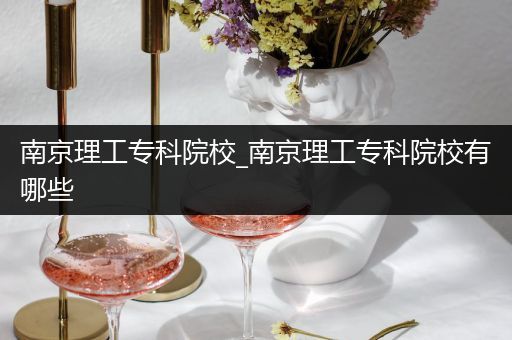 南京理工专科院校_南京理工专科院校有哪些