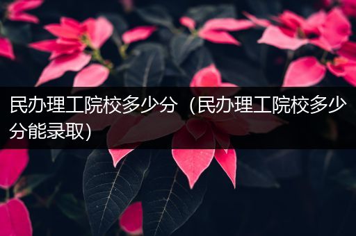 民办理工院校多少分（民办理工院校多少分能录取）