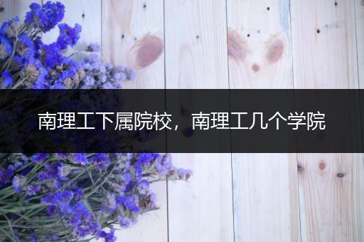 南理工下属院校，南理工几个学院