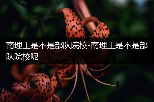 南理工是不是部队院校-南理工是不是部队院校呢