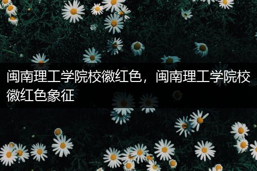 闽南理工学院校徽红色，闽南理工学院校徽红色象征