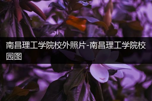 南昌理工学院校外照片-南昌理工学院校园图