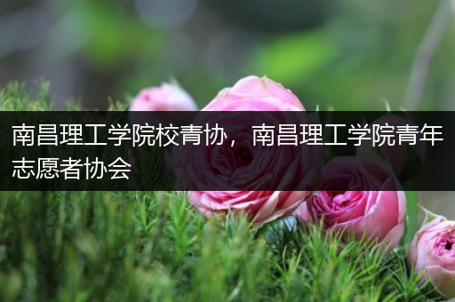 南昌理工学院校青协，南昌理工学院青年志愿者协会