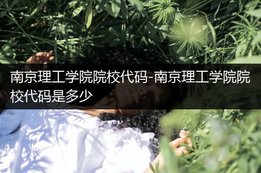 南京理工学院院校代码-南京理工学院院校代码是多少