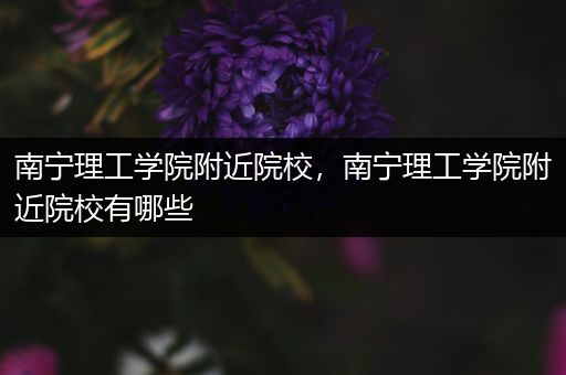 南宁理工学院附近院校，南宁理工学院附近院校有哪些