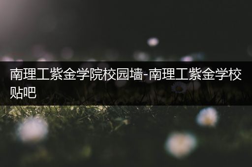 南理工紫金学院校园墙-南理工紫金学校贴吧