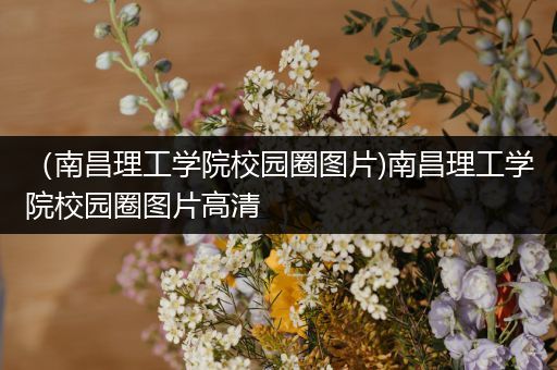 （南昌理工学院校园圈图片)南昌理工学院校园圈图片高清
