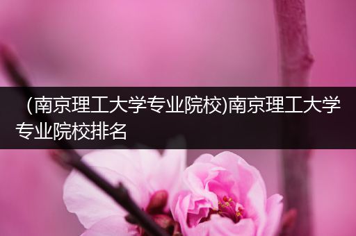 （南京理工大学专业院校)南京理工大学专业院校排名