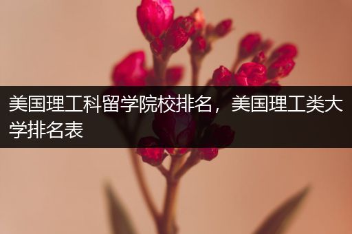 美国理工科留学院校排名，美国理工类大学排名表